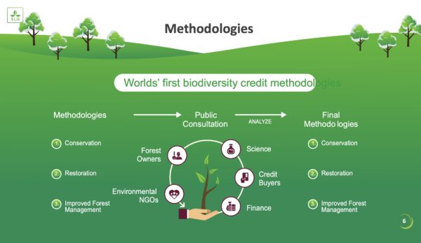 biodiversity-credit-methodologies-aleksandra-holmlund